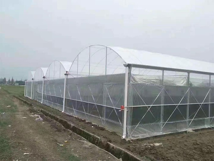 薄膜連棟溫室